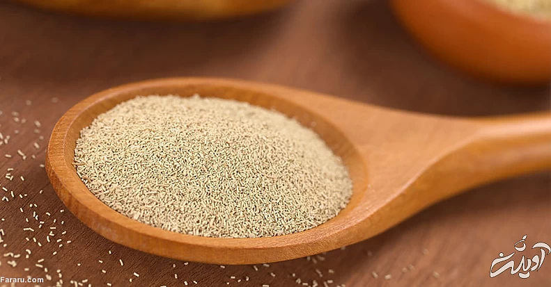 پودر خمیرمایه